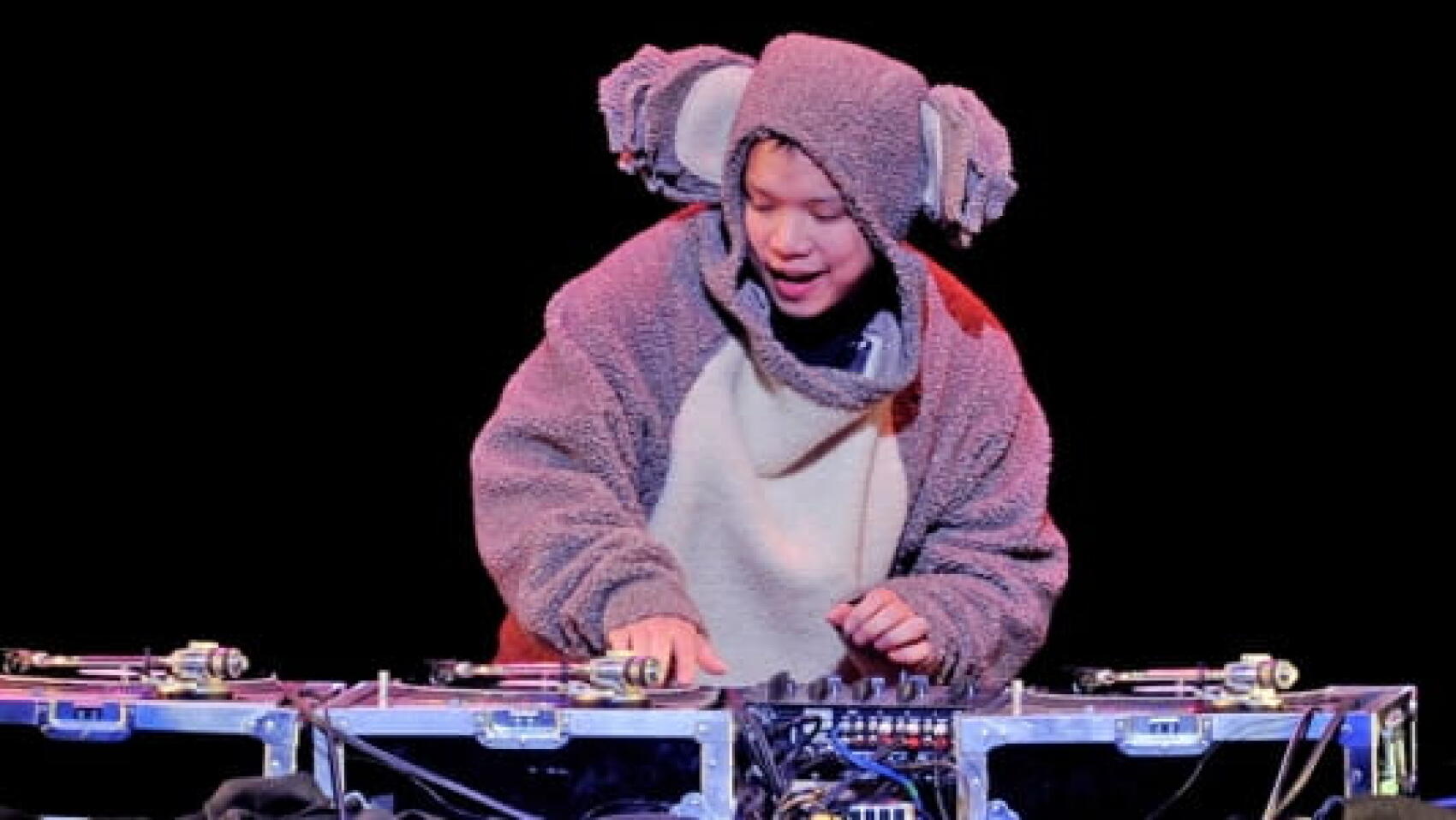 Rencontre avec le Koala