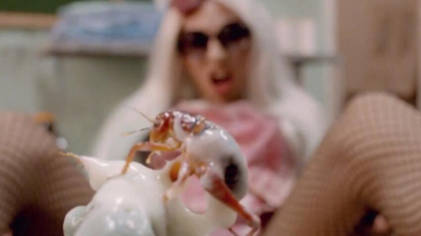 Die Antwoord VS Lady Gaga, round one