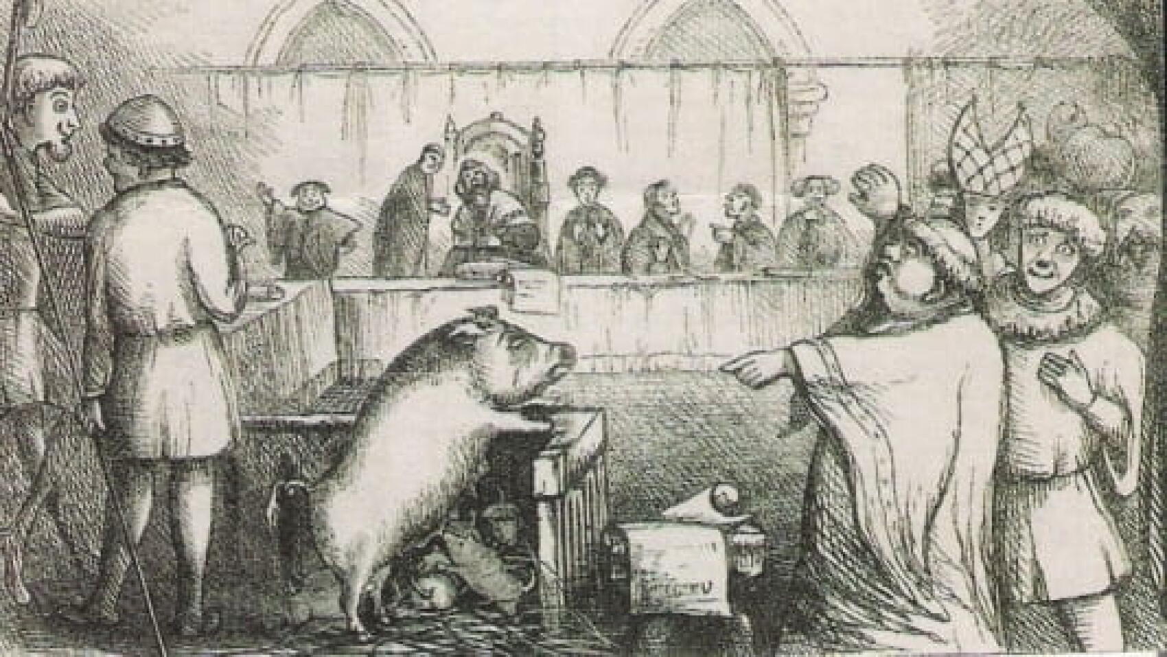 Les procès d'animaux