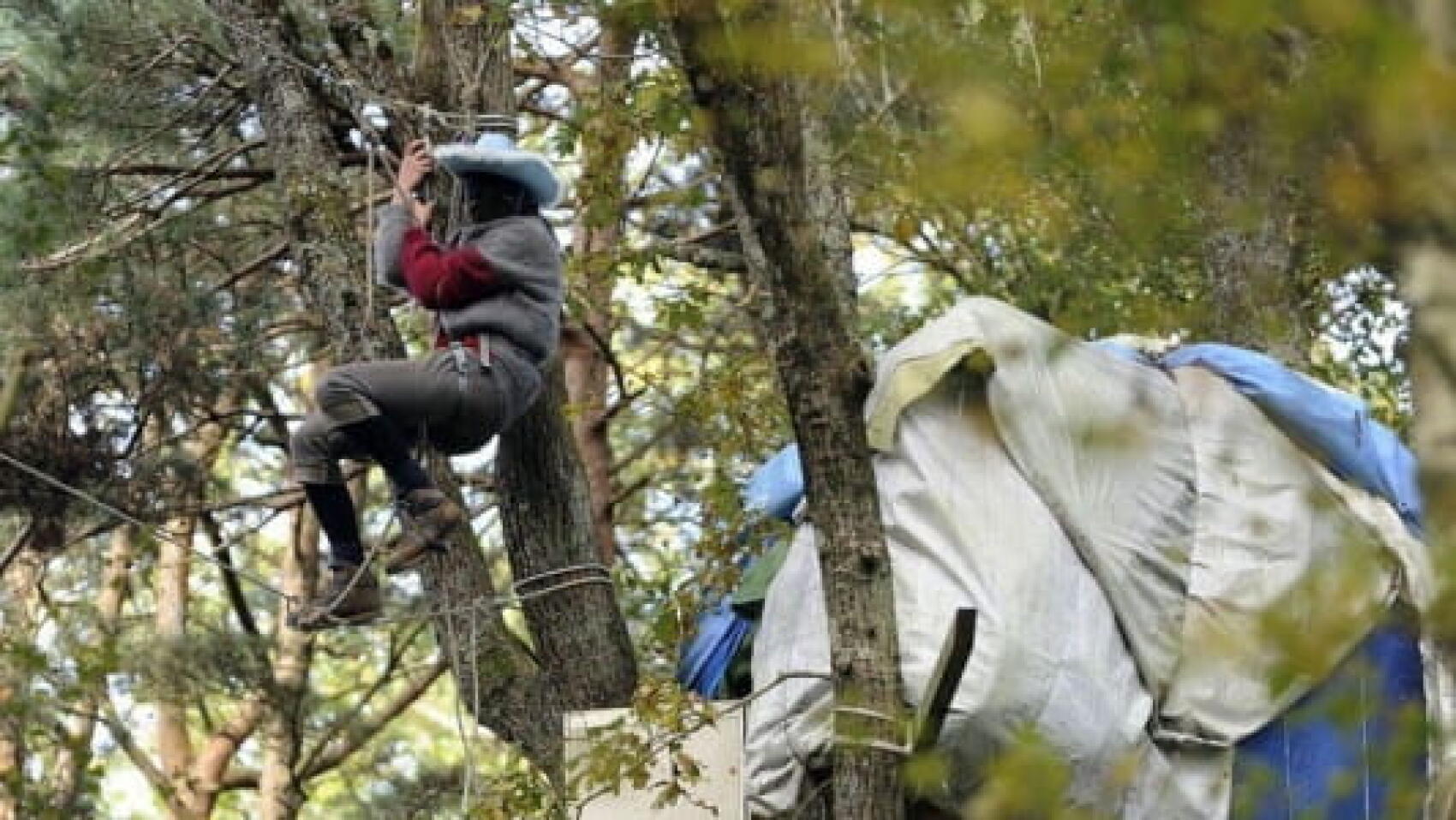 Z.A.D Notre Dame des Landes