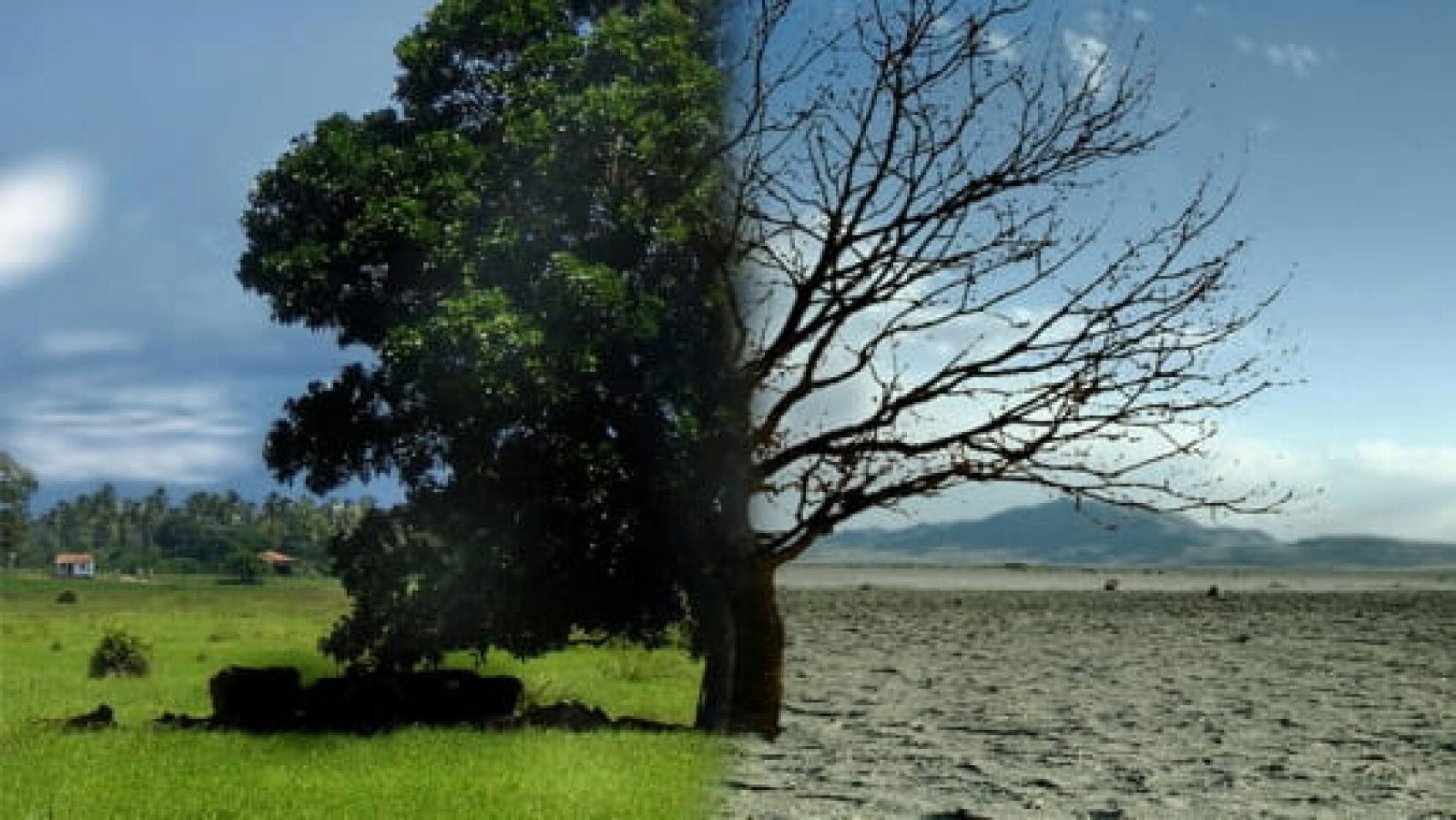 Un Centre pour sauver le monde