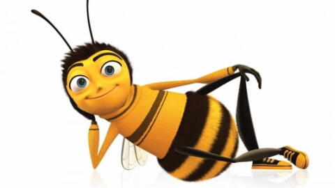 Rajeunir le cerveau des abeilles