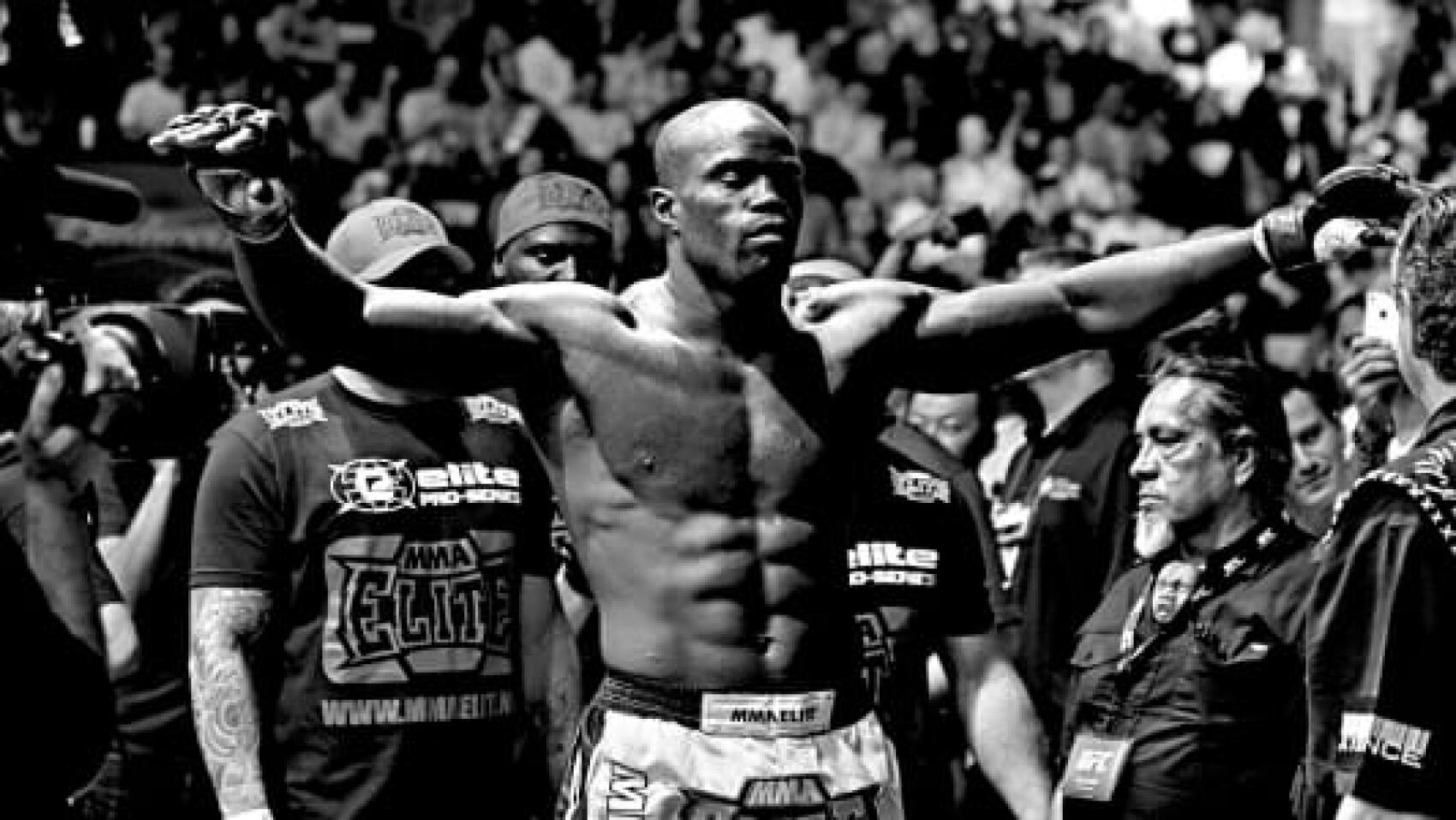 Le retour du guerrier