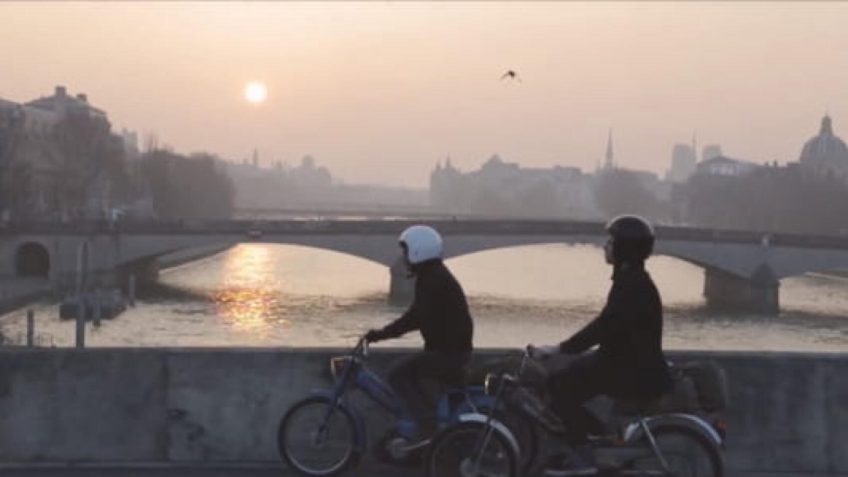 Un grand fauve en plein blizzard