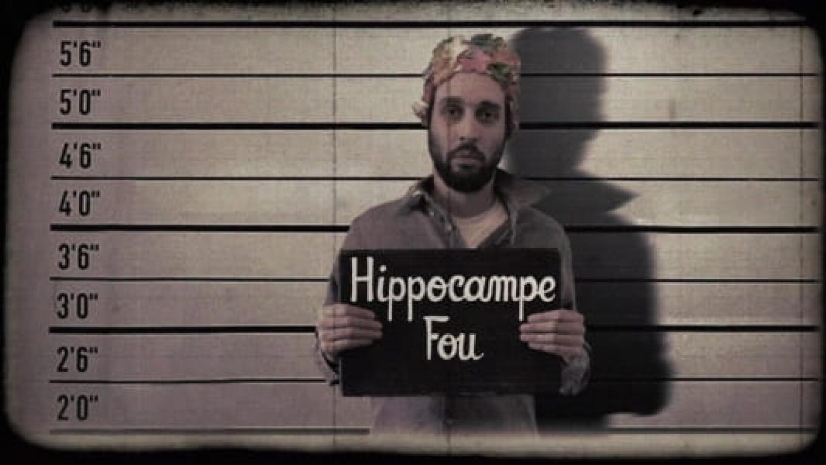 Hippocampe Fou ou le charme du rétro