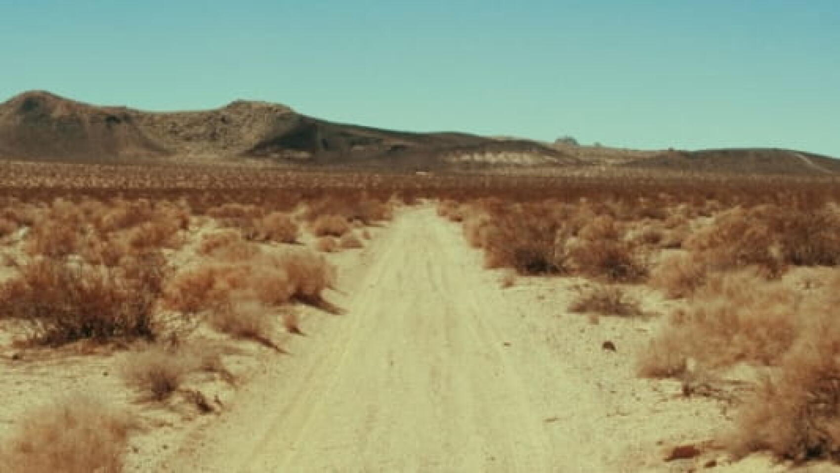 Retour downtempo pour Boards of Canada