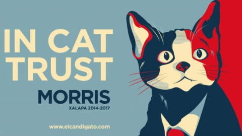 Morris, le chat qui voulait être maire