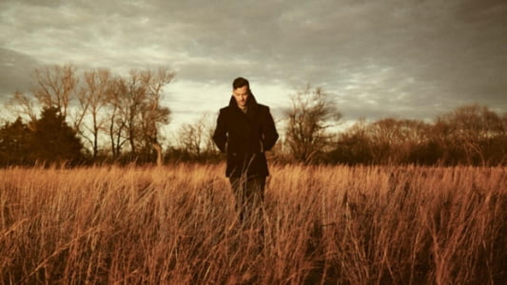 Le langage des singes