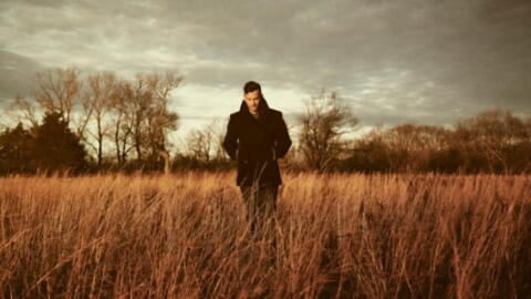 Le langage des singes