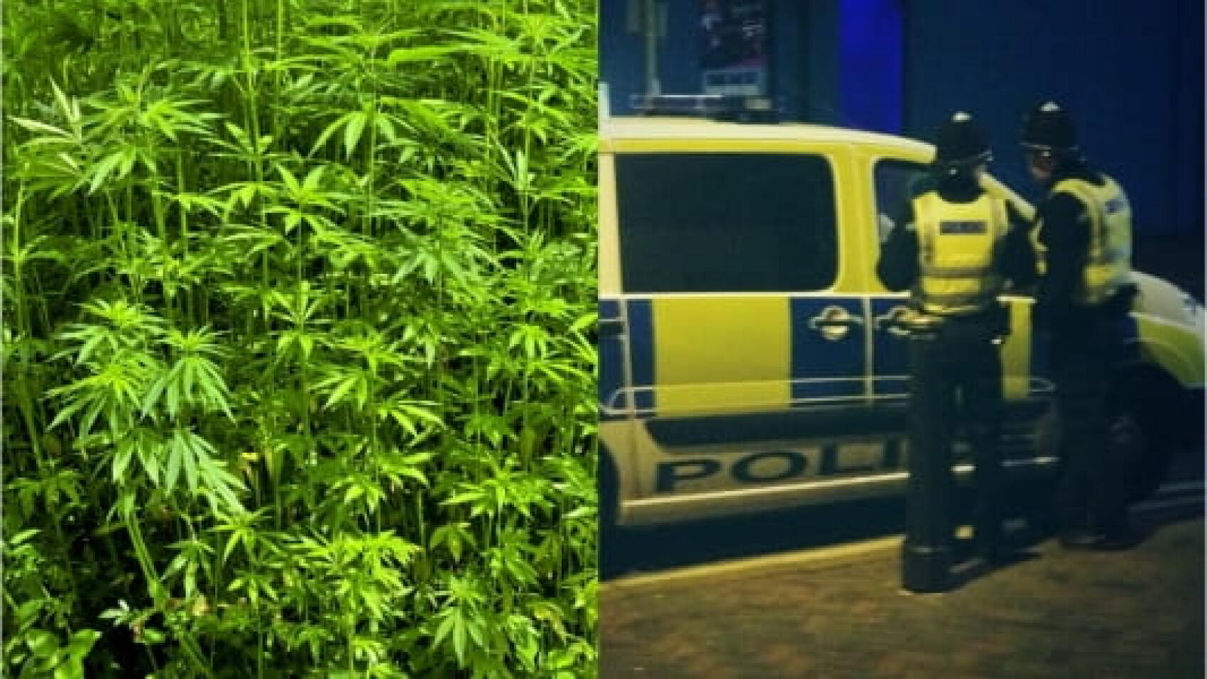 Le policier pétomane et la saisie de drogue