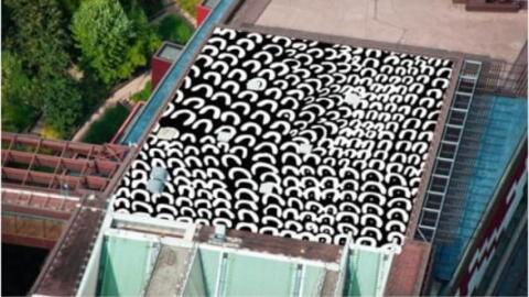 L'art aborigène vu du ciel