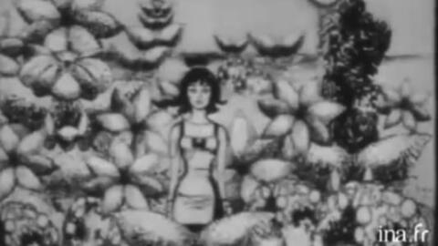 Les dessins animés de Serge Gainsbourg