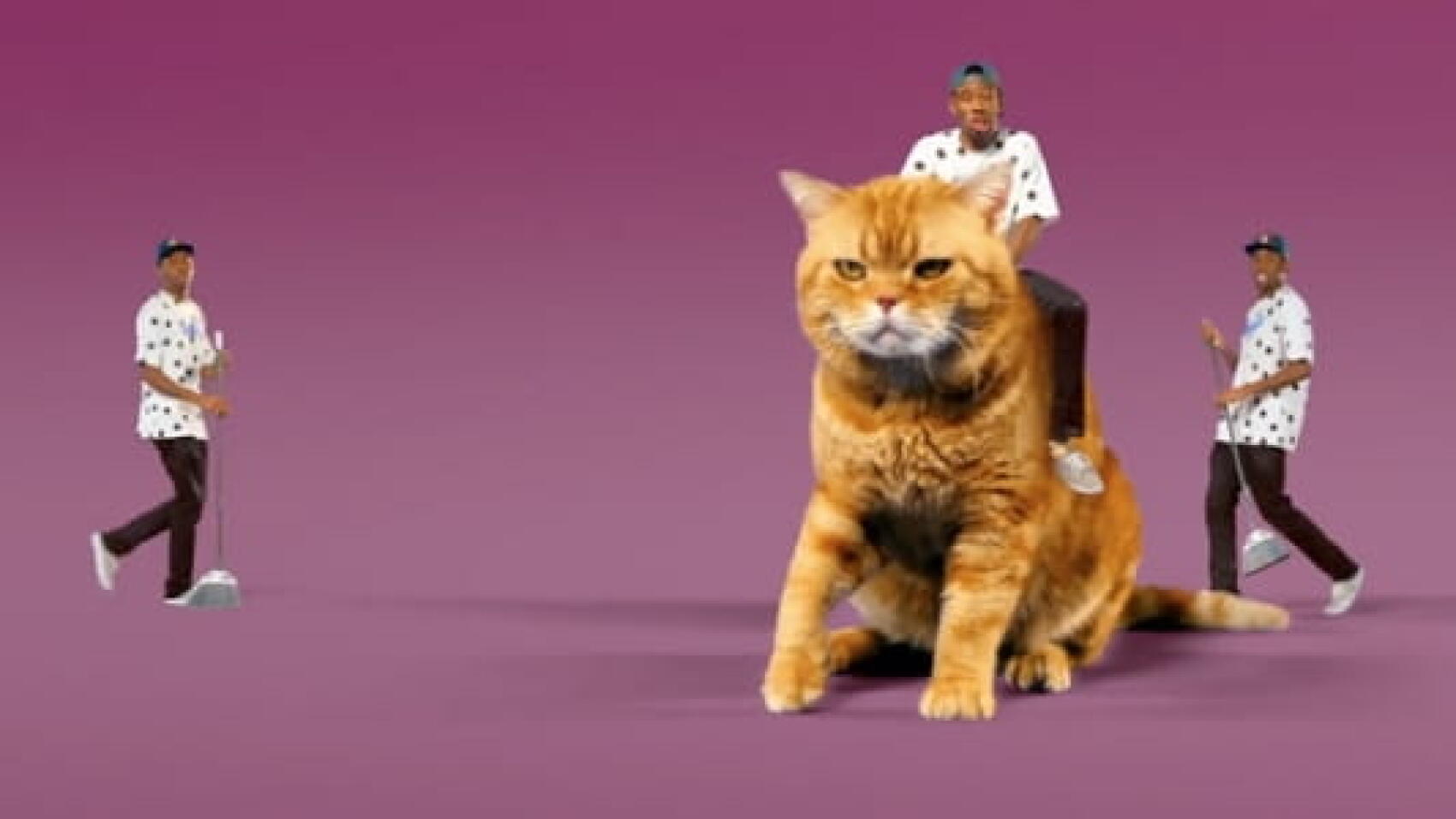 Clip : Tyler, The Creator : "Tamale"