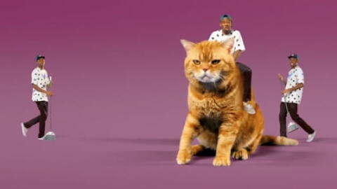 Clip : Tyler, The Creator : "Tamale"