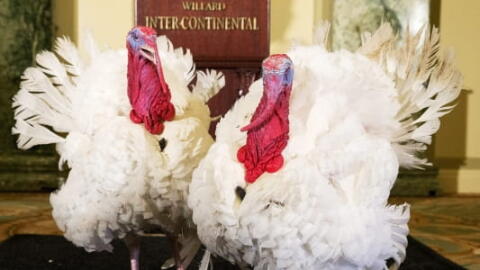 Obama, la farce au corps