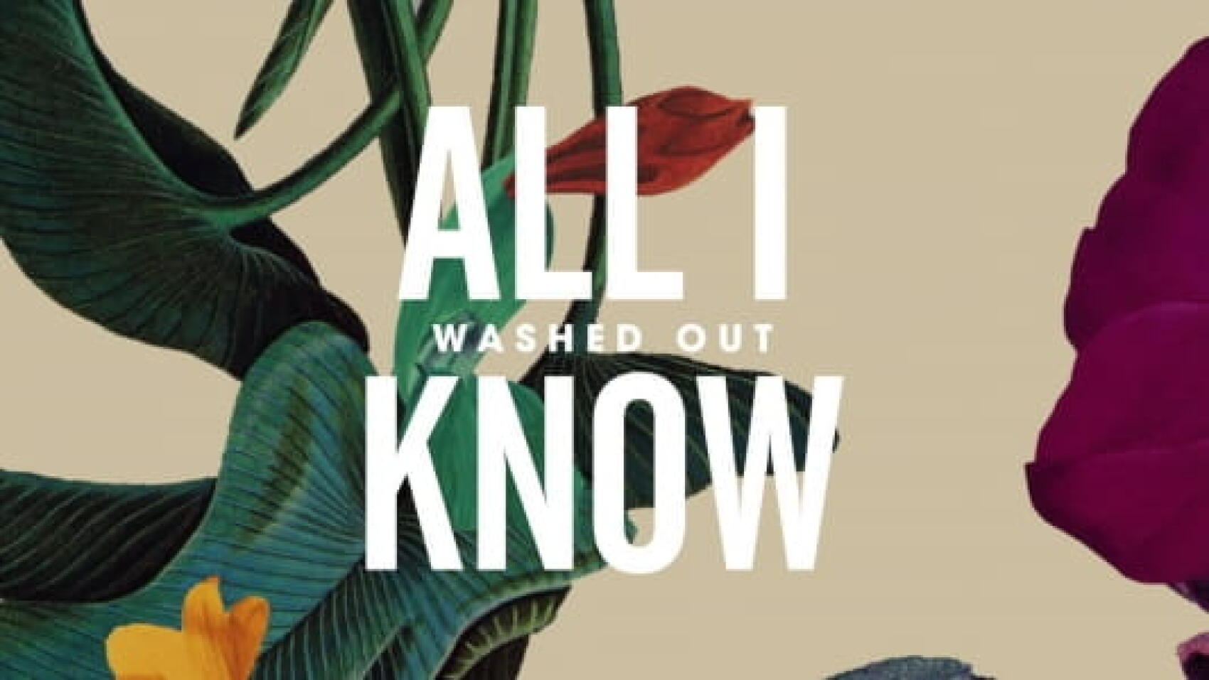 Le Clip de la Semaine #1 : Washed Out