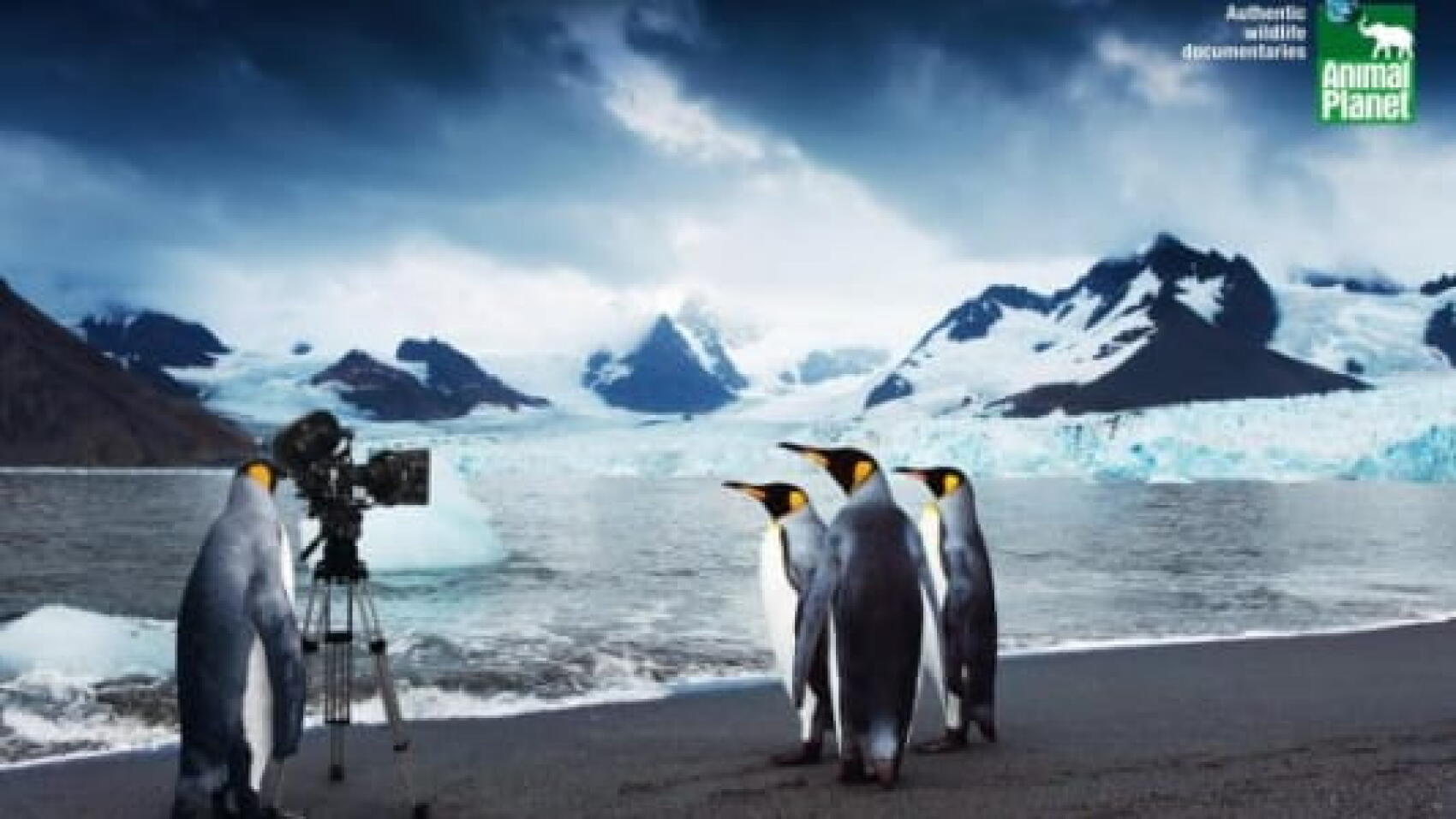 Dans la jungle du documentaire