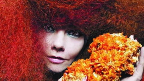 Björk entre au musée