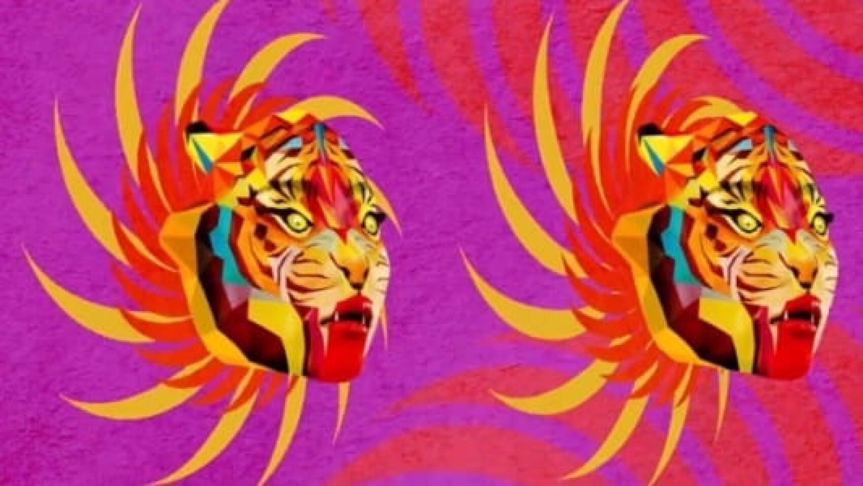 Le Clip de La Semaine #32 : Sufjan Stevens