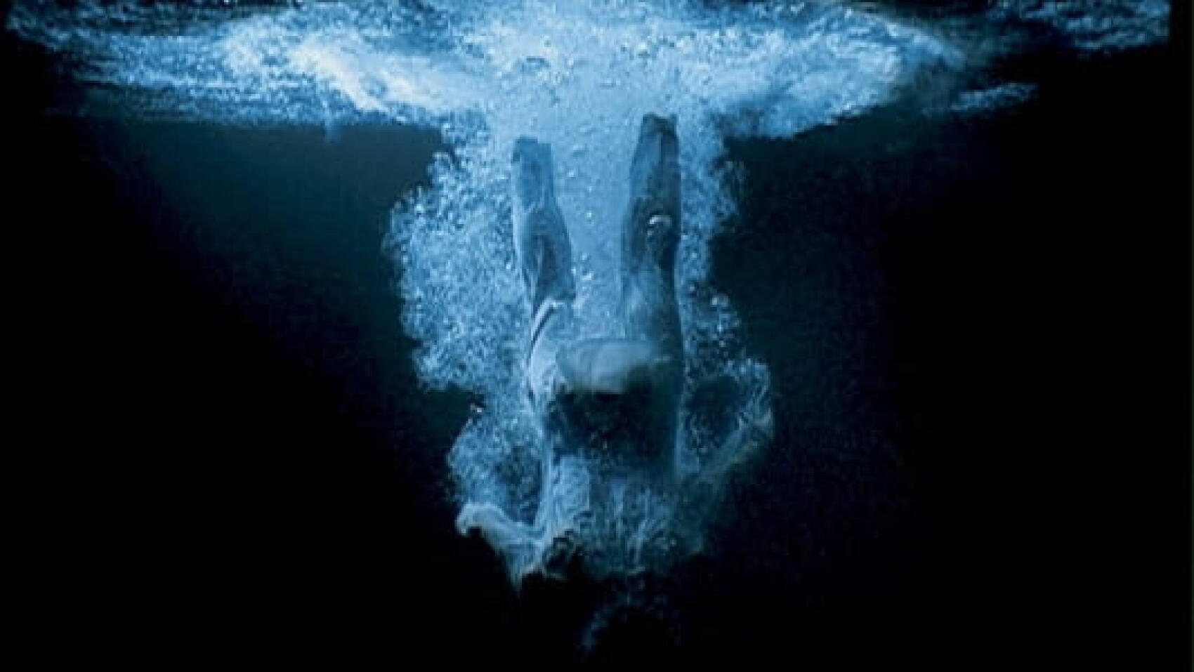Dans l'aquarium de Bill Viola