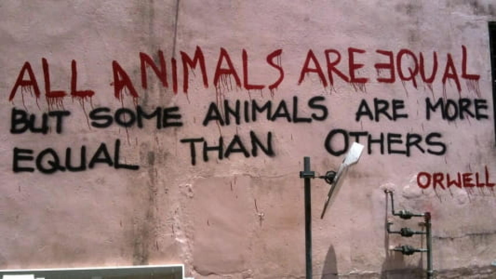 Sur Internet, tous les humains sont égaux