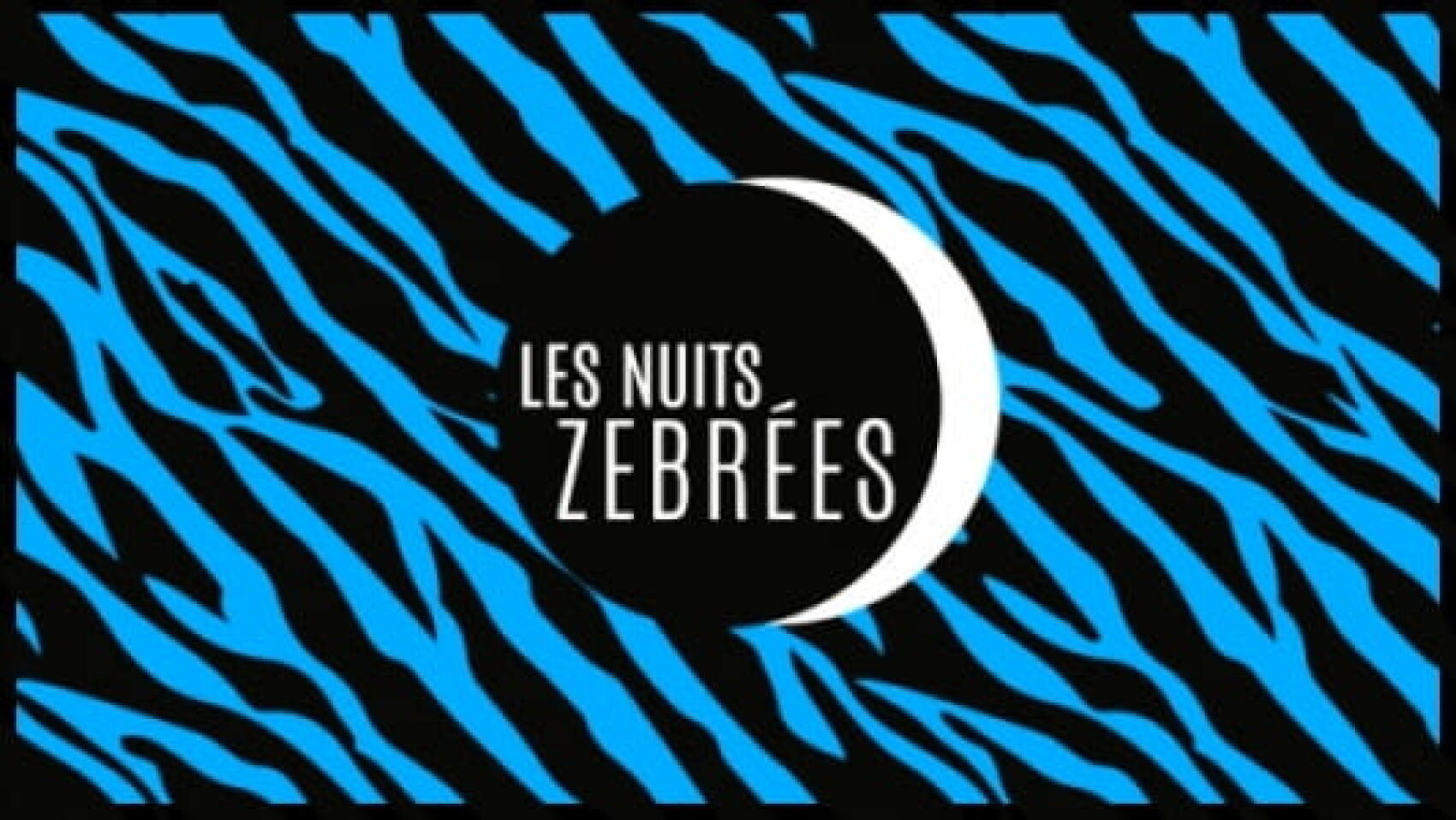 2015 a sa première nuit zébrée à Paris !