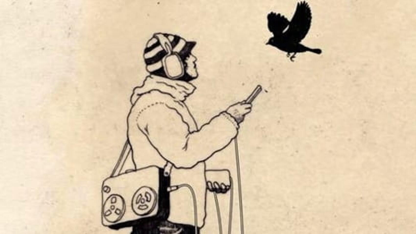 Bibio offre des archives inédites