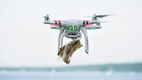 Aux Etats-Unis, il pleut des drones de weed