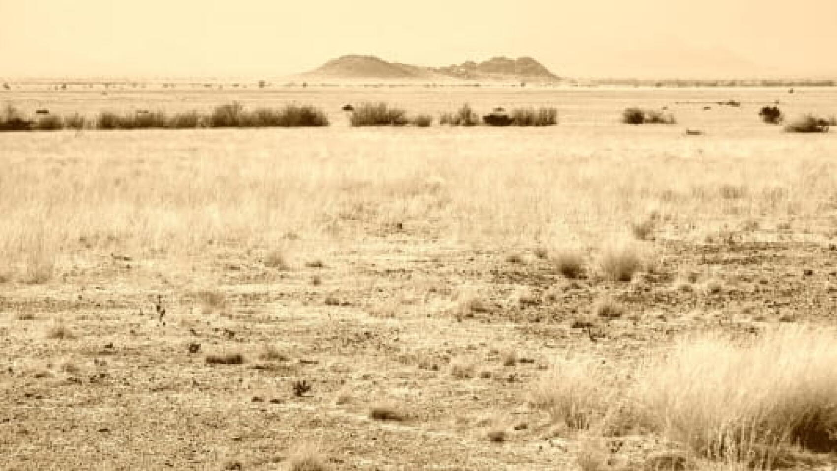 Kikuyu disco du Kenya, house de Côte d'Ivoire et du Nigéria