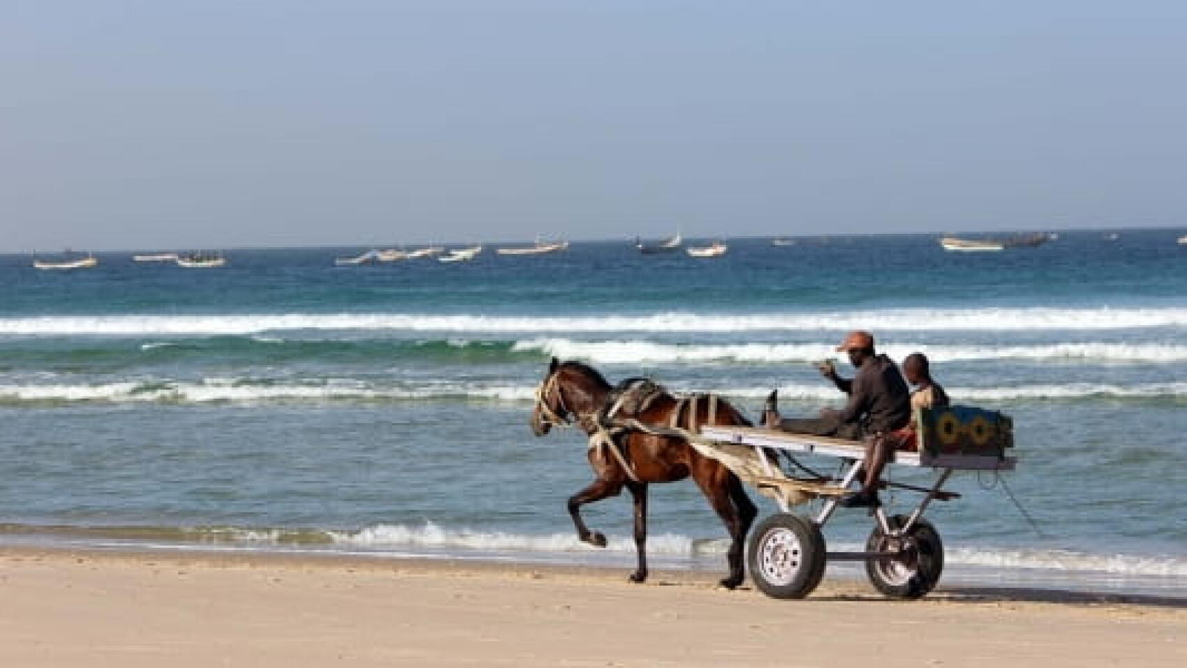 Le guide Nova de Dakar