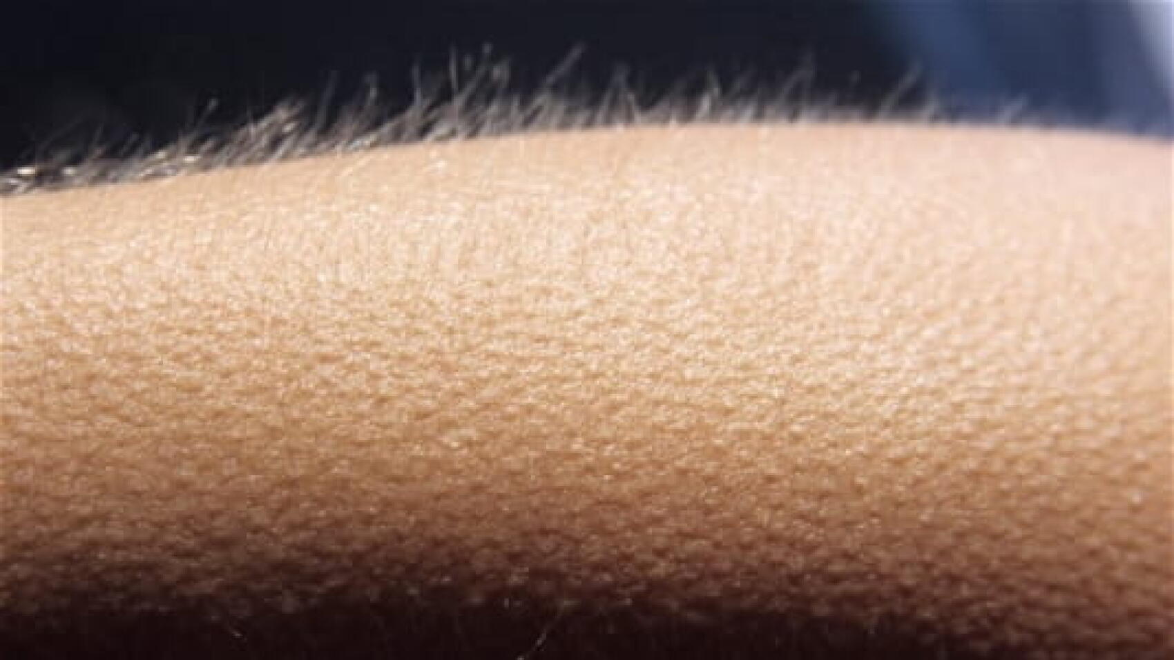 Mais pourquoi la musique nous donne des frissons ?