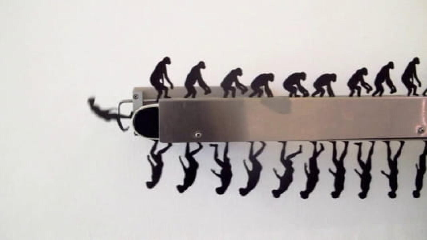 A rebours de l'évolution, l'homme de plus en plus con.