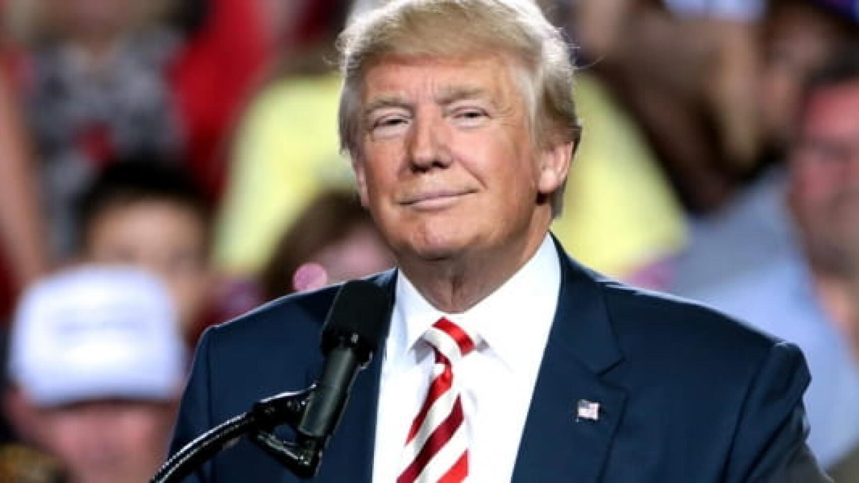 Les 3 500 sites internet de Trump, et ce qu'ils disent de lui