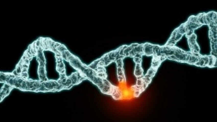 En Chine, un ciseau génétique entraîne des centaines de mutations incontrôlées