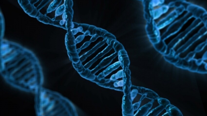 Il y a maintenant des applications pour « interagir avec votre ADN »