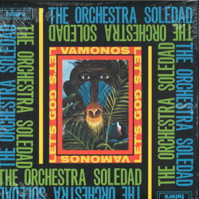 Orchestra Soledad : depuis les limbes, la salsa de Brooklyn