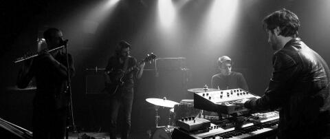 Mildlife : Melbourne en fusion