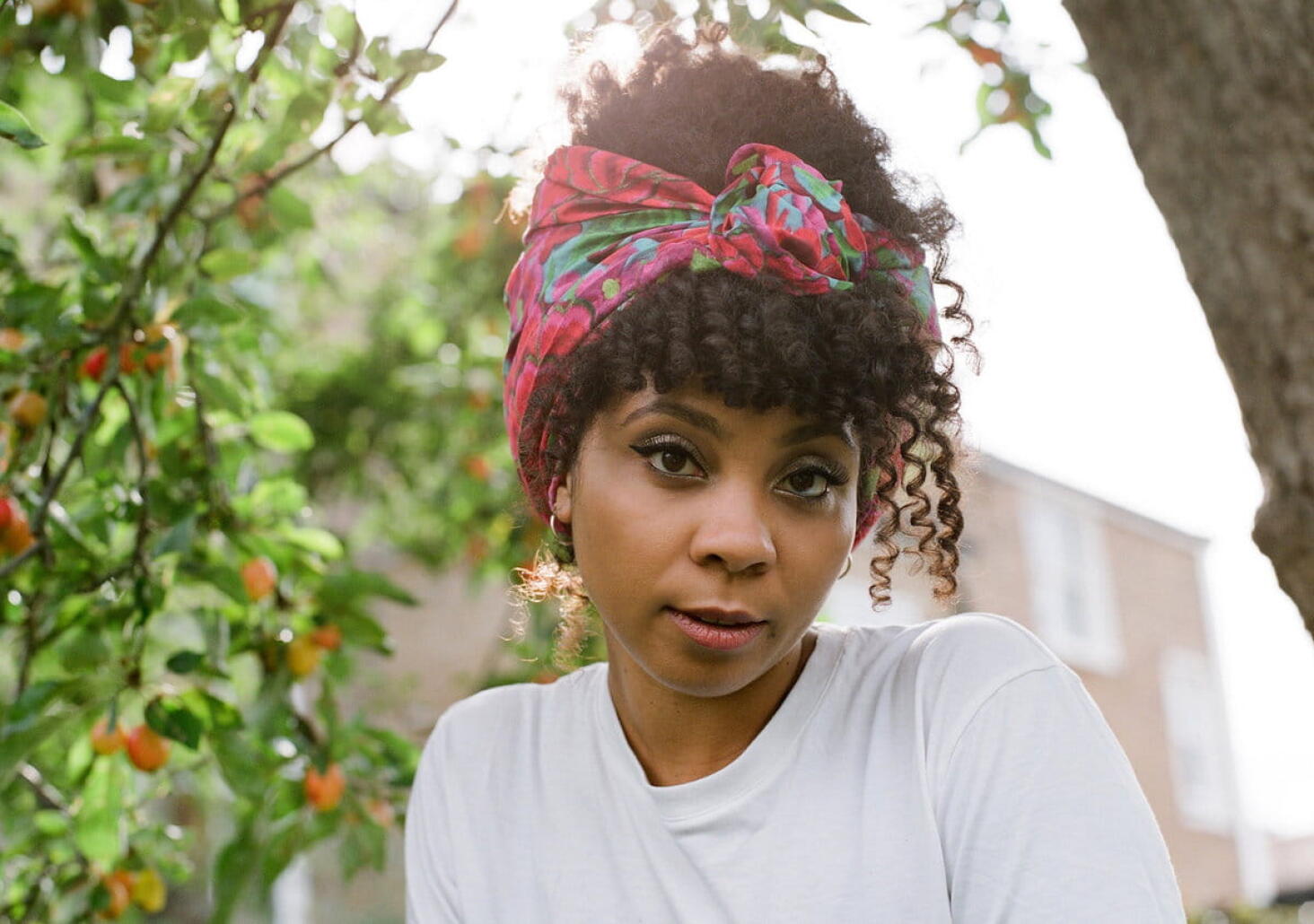 Nouvo Nova : « Survive » de Hollie Cook.