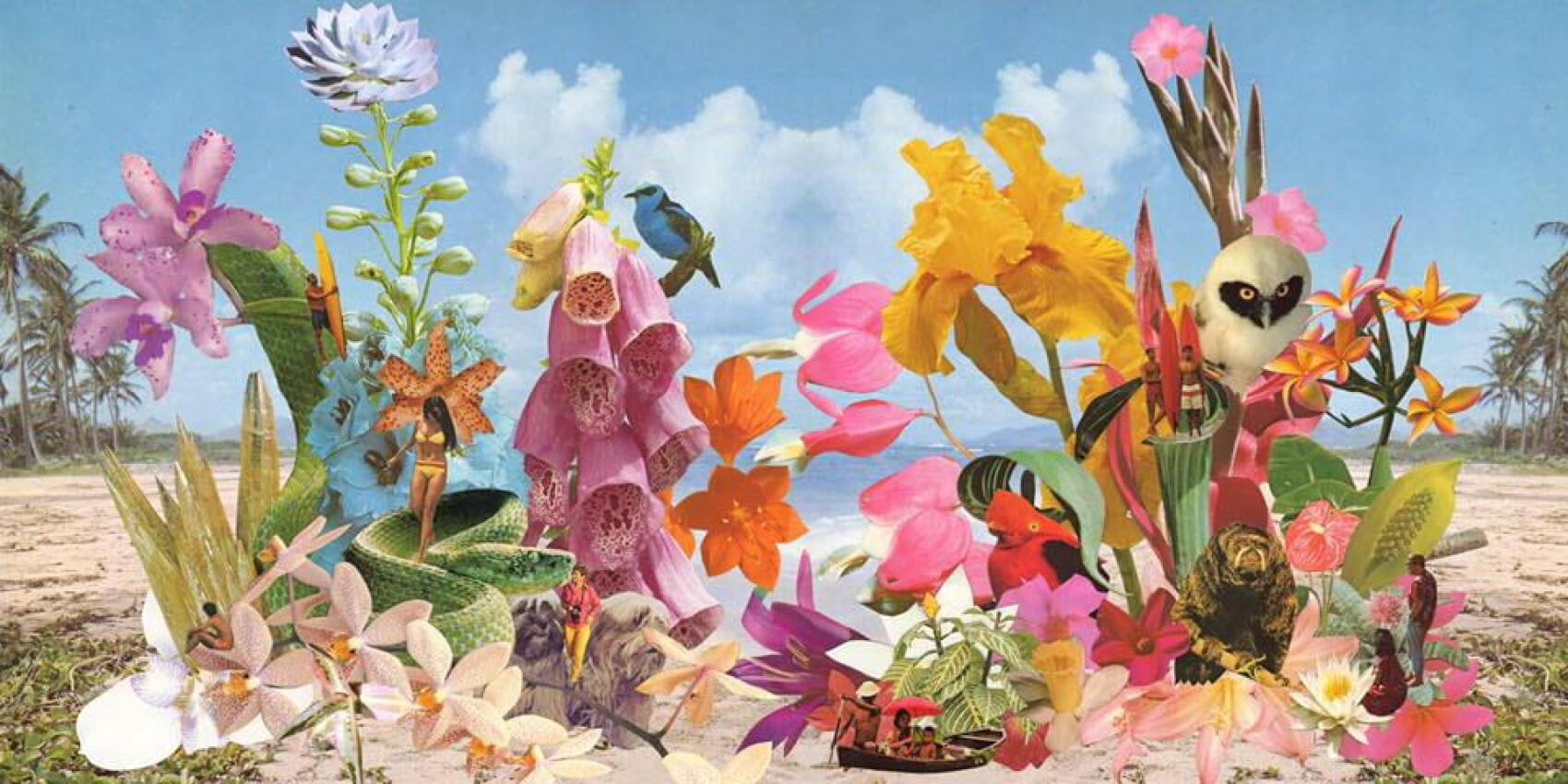 Monster Rally : exotisme Technicolor