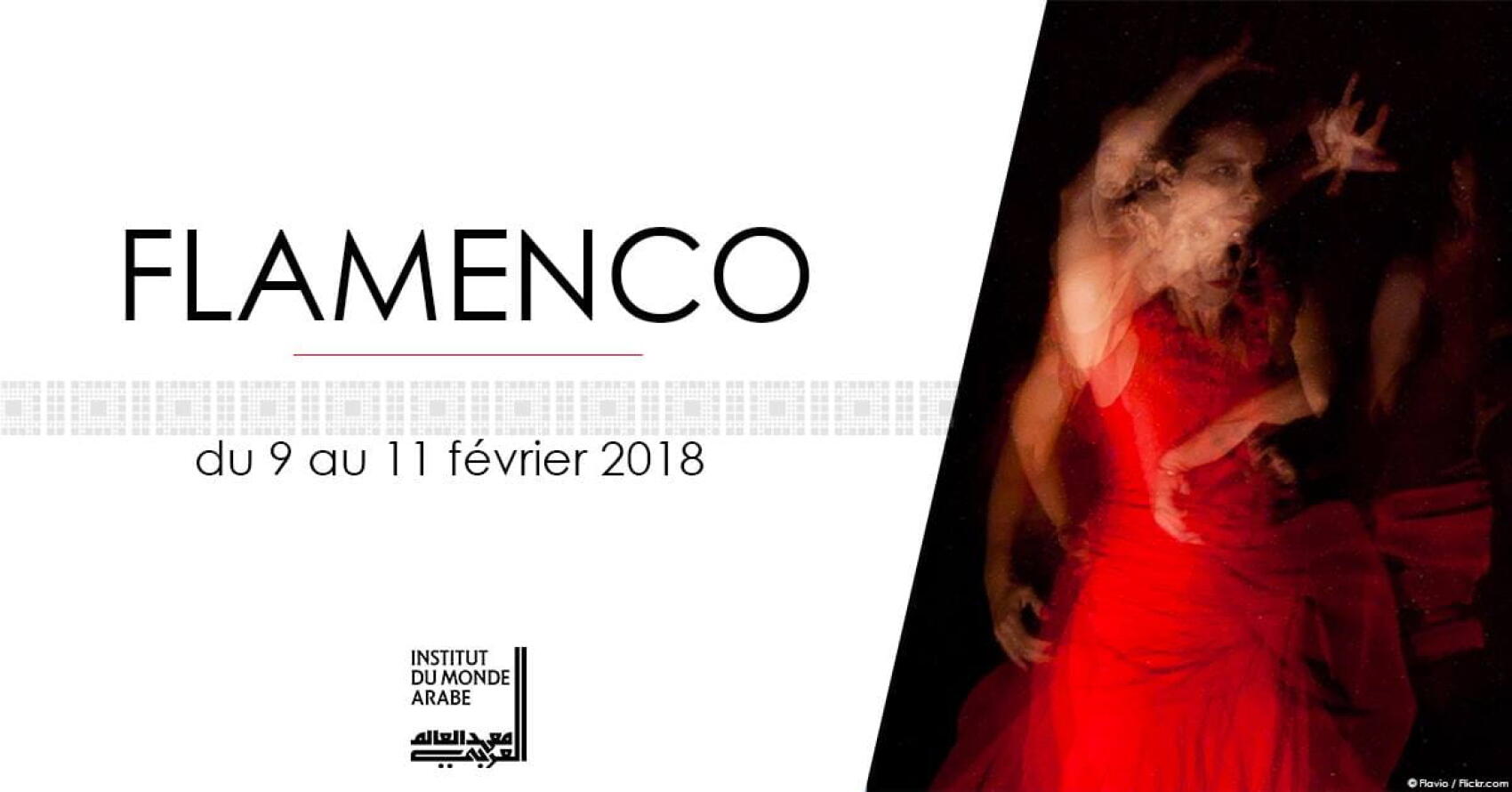 Pour en savoir plus sur un pan de la culture andalouse, en ce moment, à l'Institut du Monde Arabe