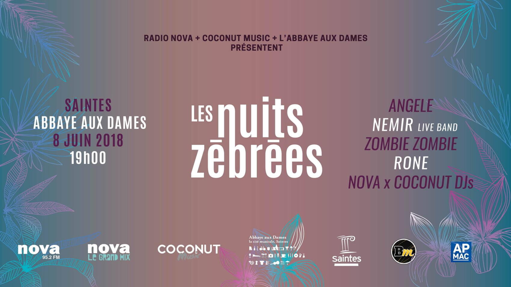 La Nuit Zébrée à Saintes