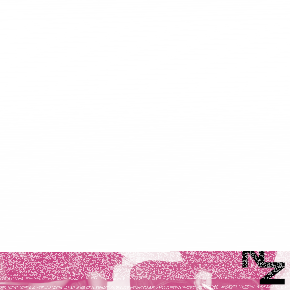 Da Break aux Nuits Zébrées