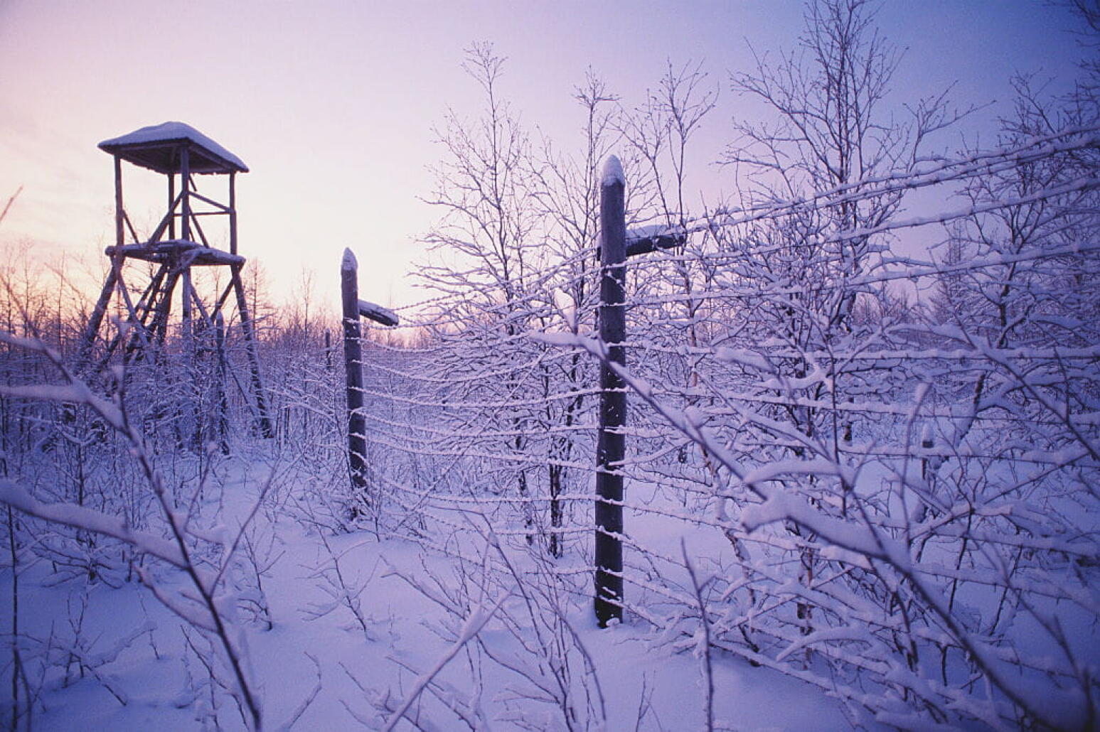 « Je suis à ce jour dans l’incapacité de me raisonner »