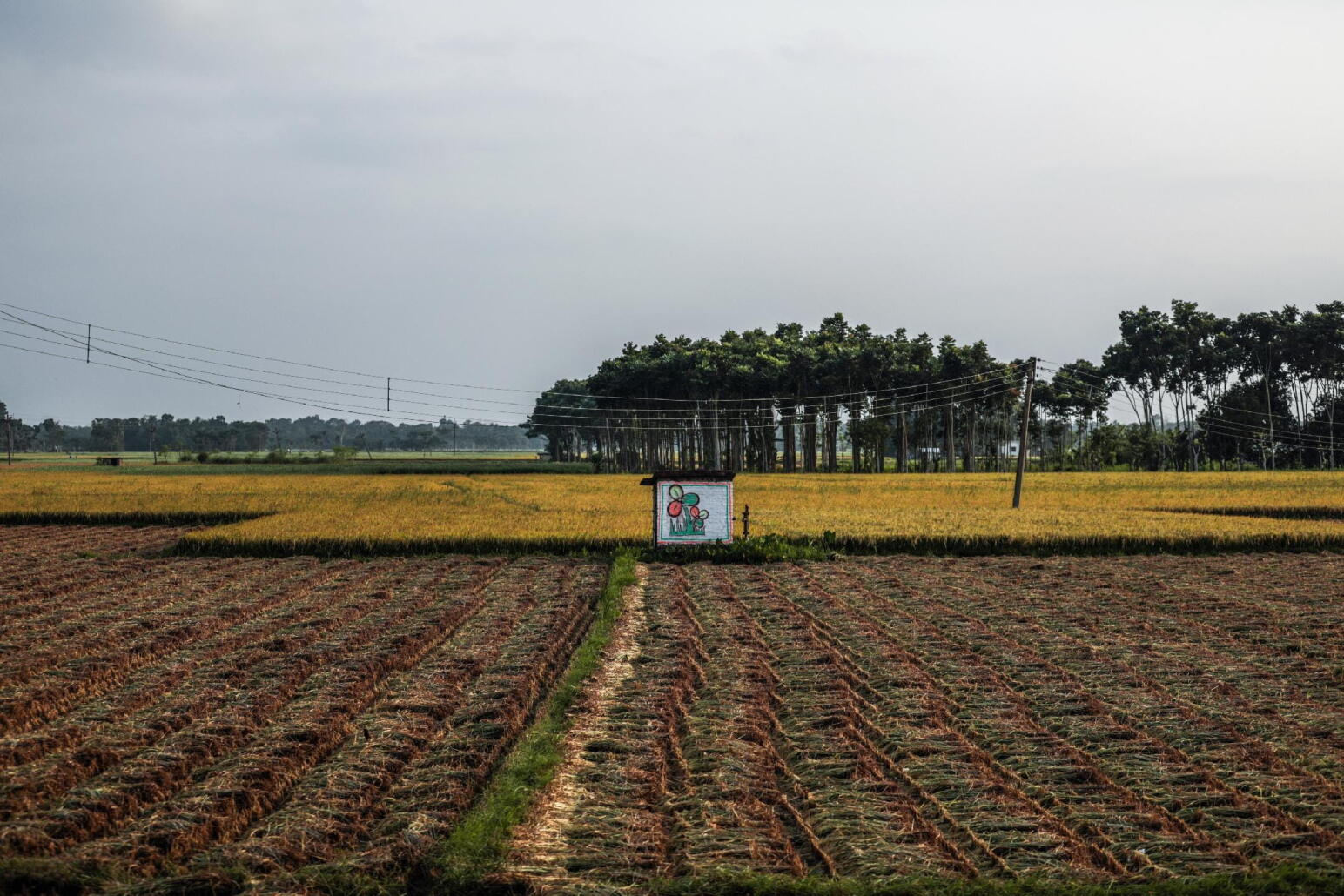 Comme un avant-goût de fin du monde