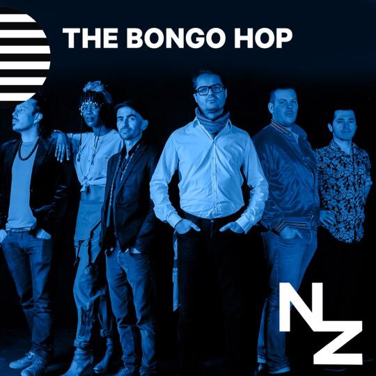 The Bongo Hop aux Nuits Zébrées