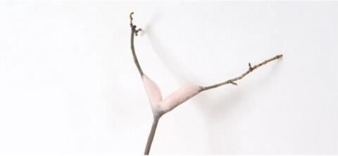 "Le rêveur de la forêt" | Musée Zadkine