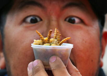 Le futur de l'alimentation