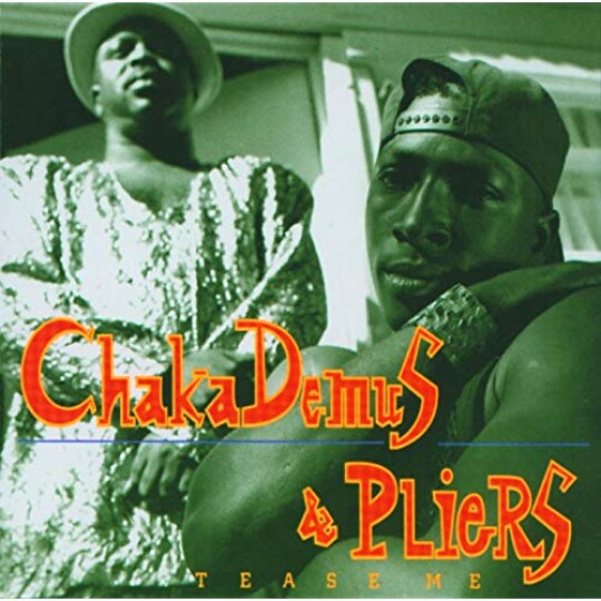 Il était 1996, le duo jamaïcain Chaka Demus & Pliers est chez Nova