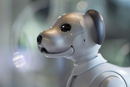 S'éprendre de l'Intelligence Artificielle