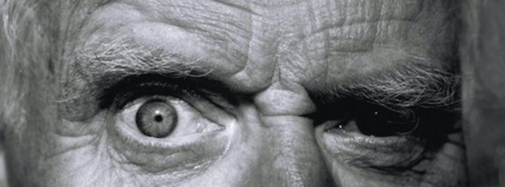 Willem : chroniqueur underground